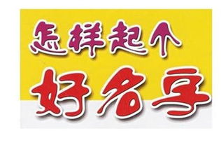 竞字到底是个啥玩意儿？