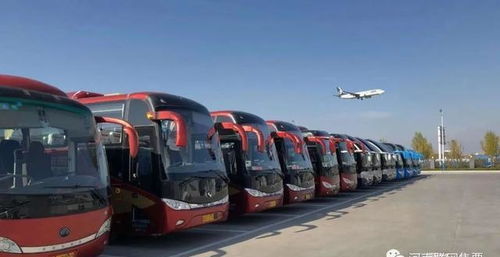 巴士线路：一场混乱中的冒险