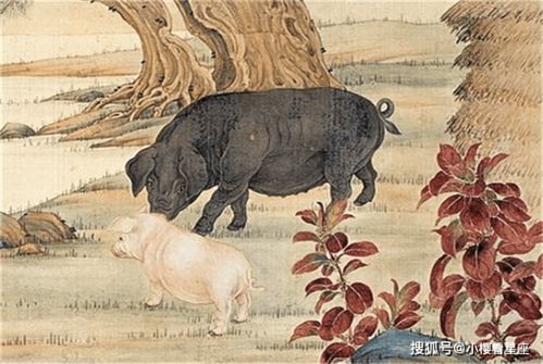 1963年和1971年属猪人的婚姻财运关系如何？