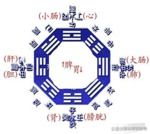 一、 阴阳五行基本概念与交互机理