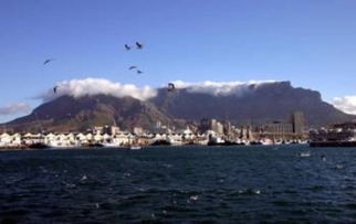 2. 克鲁格国家公园：野生动物和蚊子的天堂