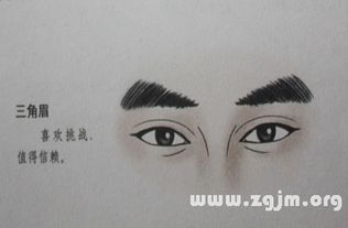 6. 眉毛区域
