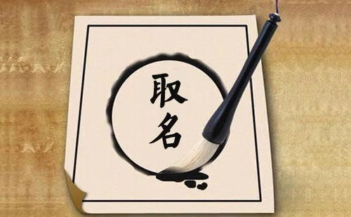 郑氏蛇儿命名的艺术创作起点