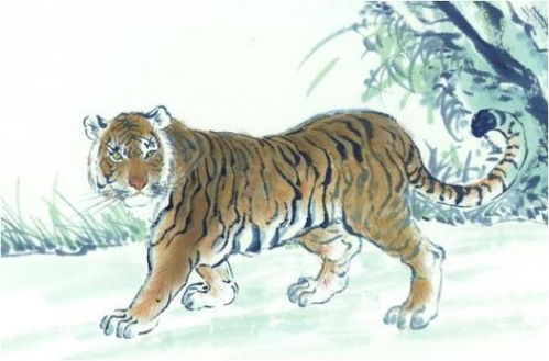 一、先说点儿废话——虎的属性到底是啥？