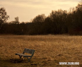 梦见以前喜欢的人向我告白，这预示着我将来会发生什么好事吗？