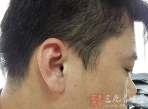 哪个生肖耳厚鼻长，哪个生肖皮糙肉厚？