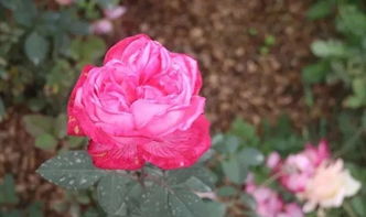 五、 改善 月节约 风水的系统策略与方法论