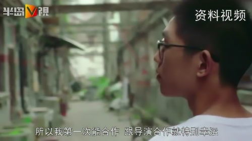 镜像出现及凝视效应之解析