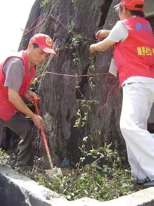 第三一部分：超脱常规! 用科学研究技术手段感+梗文化底蕴混搭出奇迹!