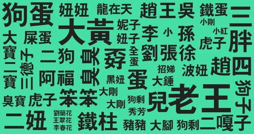 琦字的含义与五行属性