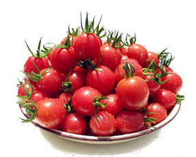 番茄！番茄！到处都是番茄！