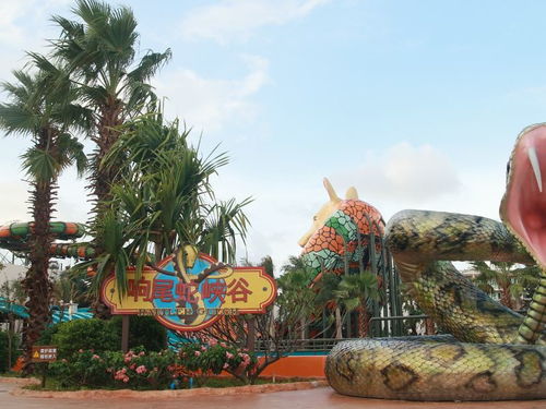 德萨斯水世界：一个让人又哭又笑的水上地狱