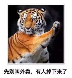 3. 虎（热情却冲动）