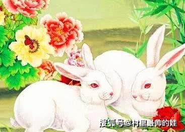 属兔白羊男对属兔的女生有什么忒别的爱情偏好？