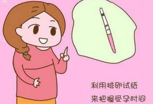 4. 逆向思考：从末尾倒推排卵日