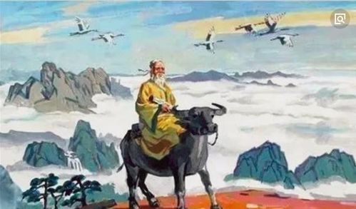 第五章：现象学观察与实证案例的深度解析