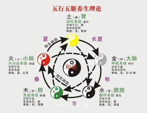 数理五行的基本对应