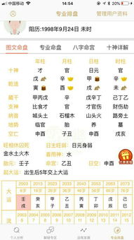 ：基于乙巳蛇年命理架构的深度剖析