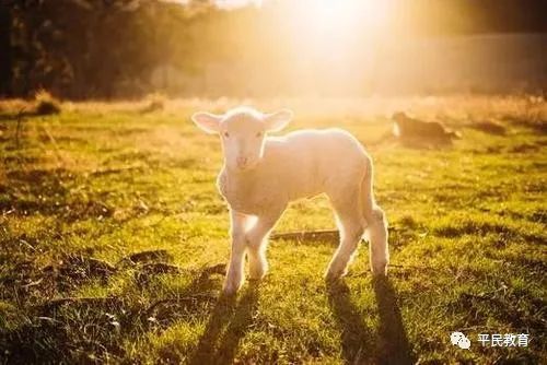 三、瞎蒙出来的转运年份