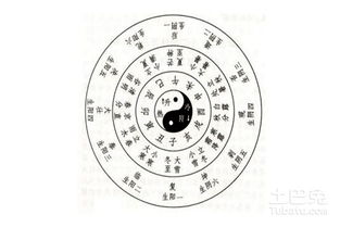 算命中的动婚姻和动卦分别指什么？