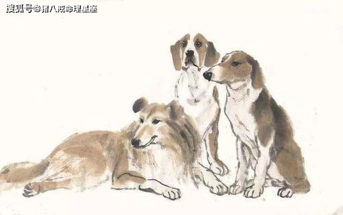 2026年26岁属狗的人1994年出生能遇到正缘吗？