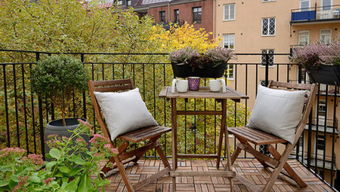 阳台养蜂风水适宜吗？