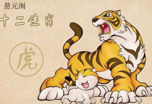 2026龙年属虎运势详解，属虎人在龙年运势如何？