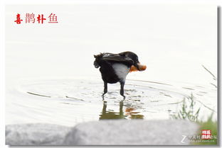 围墙：心结与困扰