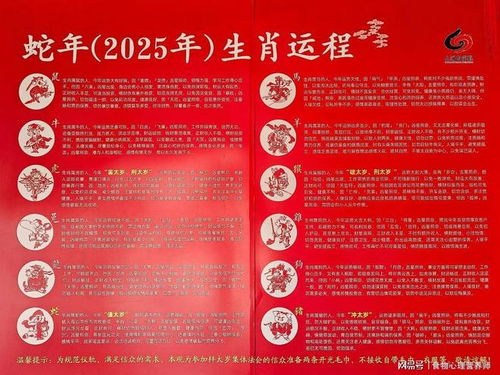 属蛇人2026年运势和每月运势具体内容是什么？
