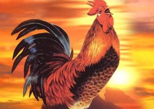 五燕六雀对应什么生肖？银线穿柳对应什么生肖？