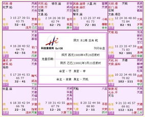 一、 子女宫的基本含义及其决定因素