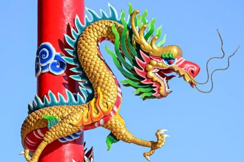 三、  生肖配对：生肖龙的最佳姻缘