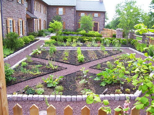 庭院种植蔬菜会对家宅风水产生怎样的影响呢？