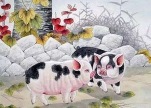 （一） 生肖自刑：龙、 马、鸡、猪的特殊禁忌