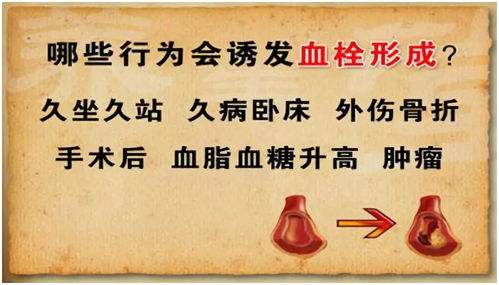 结论与反思