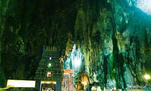 寻找被遗忘的美好