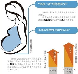 二、 晚婚星座整体概述及其幸福潜力解析