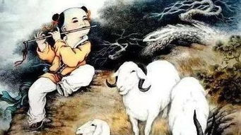 一、 十二生肖性格概述及其对奋斗周期的潜在作用于
