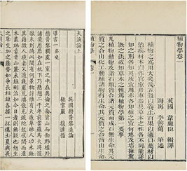 文学典籍与现实生活：蛇宝宝名字的灵感来源