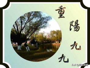 白骨塔与难以理解的逻辑