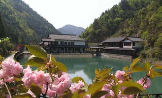 天子地：人造景点的自然奇迹 (玻璃栈道有点吓人)