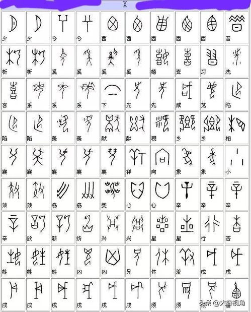 1．甲骨文字形探究
