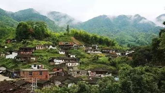 高素质人才的回流与技术革新