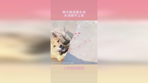 惯与“水”的重要性