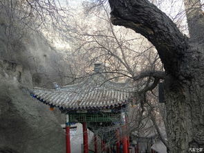 五泉山与霍去病西征传说的历史持续发展考证及其在西北风情中的文化底蕴意涵
