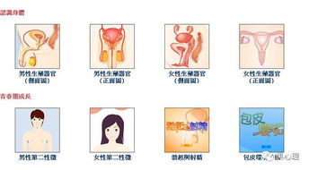 二、 揭秘商业套路：婴灵讨债与阴债的本质区别