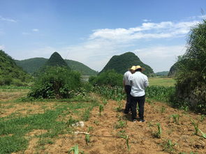 贵州有哪些被风水大师誉为十大风水宝地的具体位置？