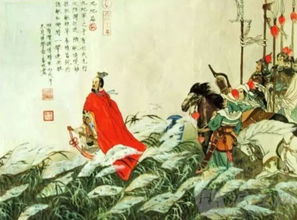 中医用药：蕴含着深厚的智慧