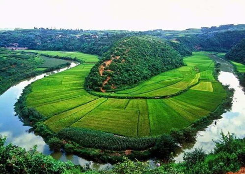 终极奥义！不花钱吃遍景区