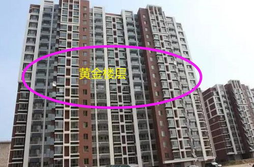 四、 扬灰层与低楼层的规避：健康与舒适度的双重保障